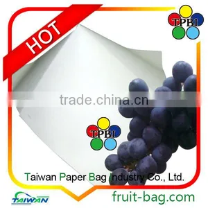Taiwan Grape Growing Paper Bags to Cover Grapes Customized Protection Bag thumbnail-2