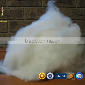 Raw Cashmere Wool Fiber Tops thumbnail-2
