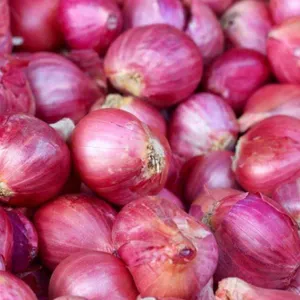 Fresh Wholesale Organic Onions Chinese Exports Red Onion Fresh Onion Price Premium Low Price Fresh Onions thumbnail-4