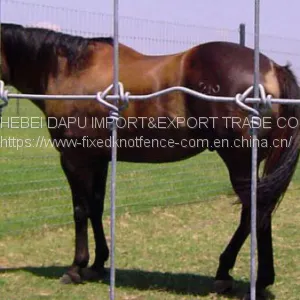 New Type Fixed Knot Wire Mesh Horse Fence Panel thumbnail-1