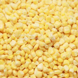IQF Sweet Corn Kernels thumbnail-3