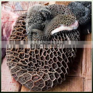 Stainless Steel Beef Tripe & Beef Honeycomb Washing Machine thumbnail-3