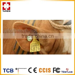 UHF RFID Ear Tag for Cow Tracking thumbnail-1