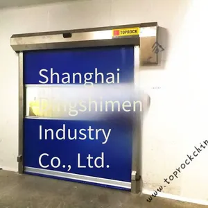 Anhui Professional Customized Pvc Rapid Rolling Shutter Doors, Dingshi Door Industry thumbnail-3