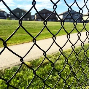 Galvanized Chain Link Fence With 2.5mm Wire Diameter and 50mm Mesh Size thumbnail-4