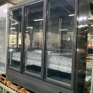 Luxury Bottom Mount Showcase Freezer Promotional Display Chiller/freezer thumbnail-5