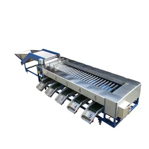 New Offer Prune Sorting Machine thumbnail-1