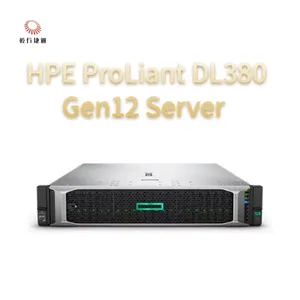 HPE ProLiant Compute DL380 Gen12 Rack Storage Server，custom Storage Server，2 Way Server thumbnail-1