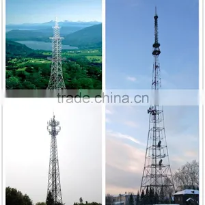 20ft/40ft Hot Dip Galvanized Cell Phone CE RoHS TUV Certified thumbnail-1