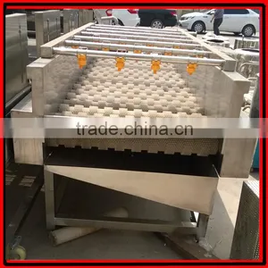Automatic Brush Date Cleaning Machine|Ginger Washer and Cleaner Machine thumbnail-2
