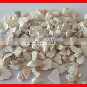 Sea Shell for Terrazzo thumbnail-1