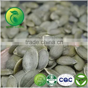 Organic Pumpkin Seeds GWS (Grown Without Shell) thumbnail-1