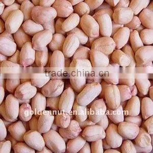 Groundnuts thumbnail-1