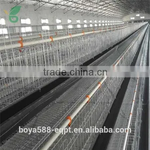 H Type New Design Pullet Rearing Cage With Lower Price thumbnail-2