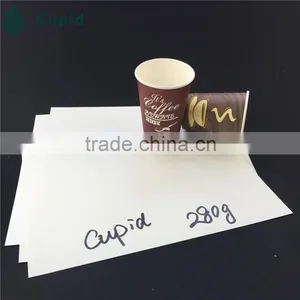 Hangzhou Tuoler pe Coated Paper Cup Blank thumbnail-1