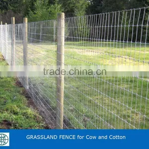 Hot Dipped Galvanized Grassland Fence For Cow And Cotton thumbnail-2