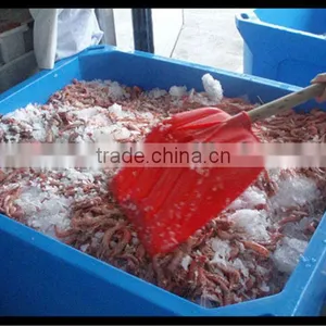 Seafood Processing Roto-moulding Cooler Box thumbnail-6