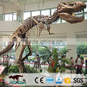 Dinosaur Manufacture Life Size Dinosaur Bones for Sale thumbnail-1