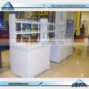 Wholesale High Quality Made In China PP Workstation For Laboratory thumbnail-5