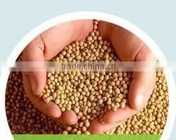 Isolated Soy Protein for Extrusion Foods thumbnail-5