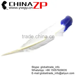 CHINAZP Factory Cheap Wholesale Feather Size From 30cm to 35cm Dyed Blue Half Dipped Bicolourable Turkey Rounds Wing Feathers thumbnail-4