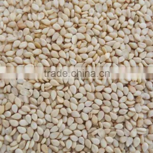 Sesame Bar Machine thumbnail-4