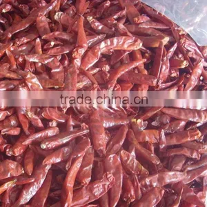 Chili thumbnail-1