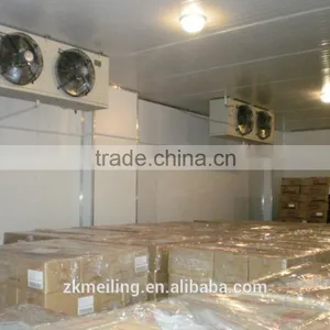 -70 to -80C Cold Storage Room thumbnail-5