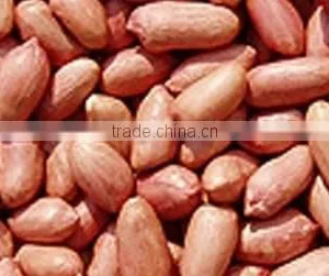 Buy Bold Peanuts From India thumbnail-1
