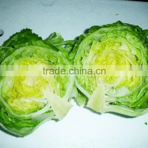 Green Lettuce for Cooking thumbnail-3