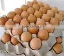 BROWN CHICKEN EGGS thumbnail-3