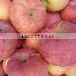 Fresh Fuji Apple thumbnail-1