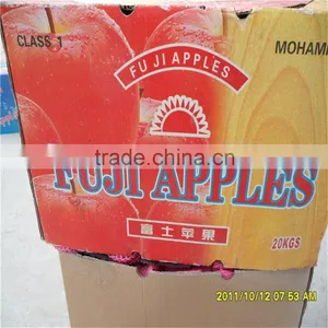 Best Price Fresh Thin Peel Fuji Apple thumbnail-2