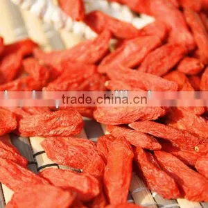 HOT SALE Top Quality Sun Dried Goji Berries Goji Berry--BNP thumbnail-1