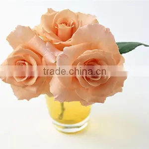 Wholesale Grade A Fresh Roses From India Fresh Rose Petals thumbnail-4