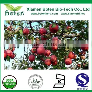Apple Polyphenols / Phloretin / Phloridzin / Apple Extract thumbnail-2