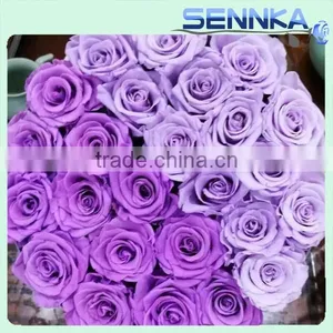 Preserved Flower Rose Display in Gift Box Elegant Flora Decorations for Love thumbnail-2