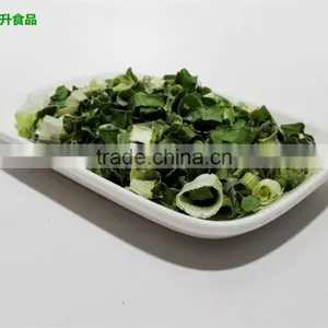 AD Drying Process Dehydrated Chive Roll / Green Onion thumbnail-2