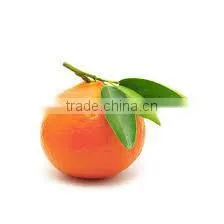 MANDARIN DISTILLED OIL thumbnail-1