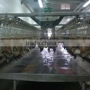 Broiler Chicken Slaughter/Chicken Processing Equipment for Slaughter 008618052092685 thumbnail-2