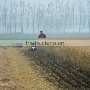 MINGYUE 2016 New Design Crop Reaper Head 4GL120 thumbnail-5