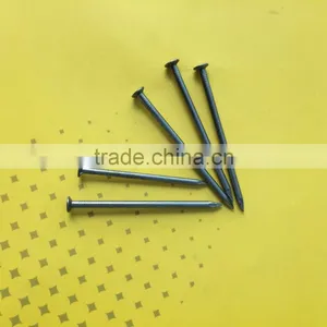 Best Price Common Nails/steel Nails Factory Price thumbnail-3