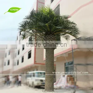 APM030 GNW All Kind of Artificial Palm Tree thumbnail-1