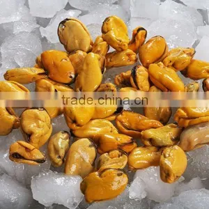Frozen Cooked Mussel Meat thumbnail-1