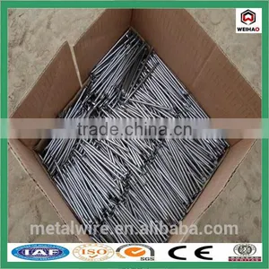 10mm to 150mm Length 1.8mm to 4.5mm Diameter Common Wire Nail in Bulk thumbnail-1