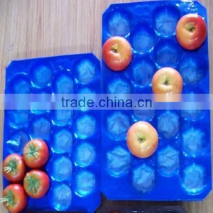 Laizhou Pengzhou Plastic Alveolus Fresh Fruits PP Trays thumbnail-1