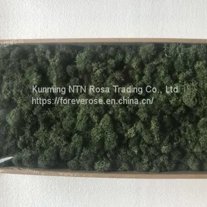 Preserved Moss Table Numbers for Weddings, Events, Nurseries thumbnail-1