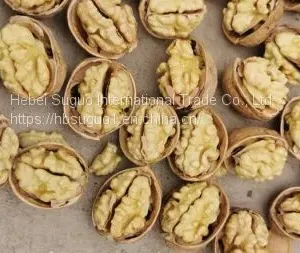 Walnut Inshell thumbnail-3