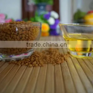 Premium Quality Fenugreek Oil Capsules for Sale thumbnail-1