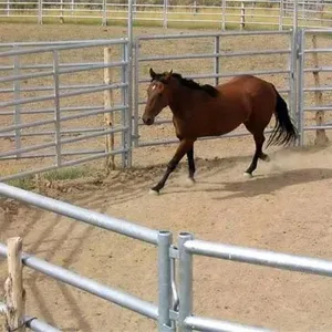 Galvanized Cattle Panel Tube 6 Ovals 6ft 10ft Long Utility Crowding Corral Panel / Livestock Pens thumbnail-3